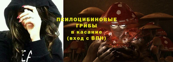 mdma Бородино