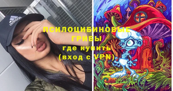 героин Богданович