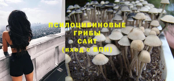 mdma Бородино